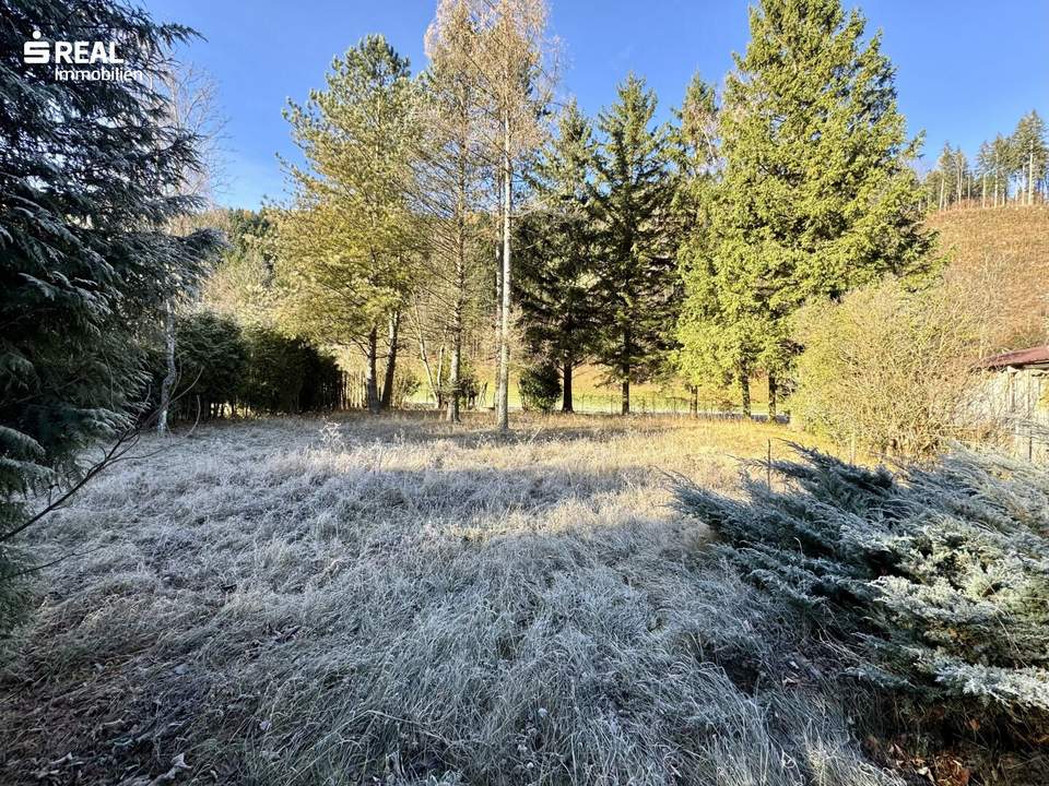 Grundstück in Gaupmannsgraben/ Ramsau (Land- Forstwirtschaft)