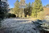 Grundstück in Gaupmannsgraben/ Ramsau (Land- Forstwirtschaft)