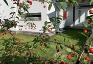 Phänomenale Gartenwohnung mit Gartenhaus und Parkplatz in Graz/Liebenau (Provisionsfrei)