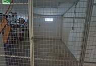 Unbefristete Genossenschaftswohnung zwischen Stadt und Natur. - WOHNTRAUM