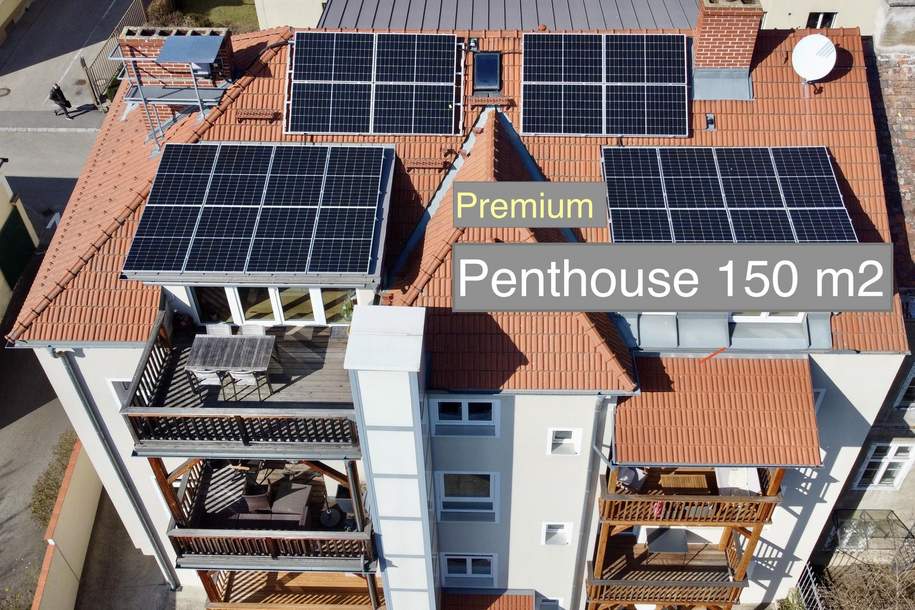 Penthouse in Spitzenlage, Wohnung-miete, 2.500,00,€, 3500 Krems an der Donau(Stadt)