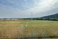 Familienwohnung in Bisamberg