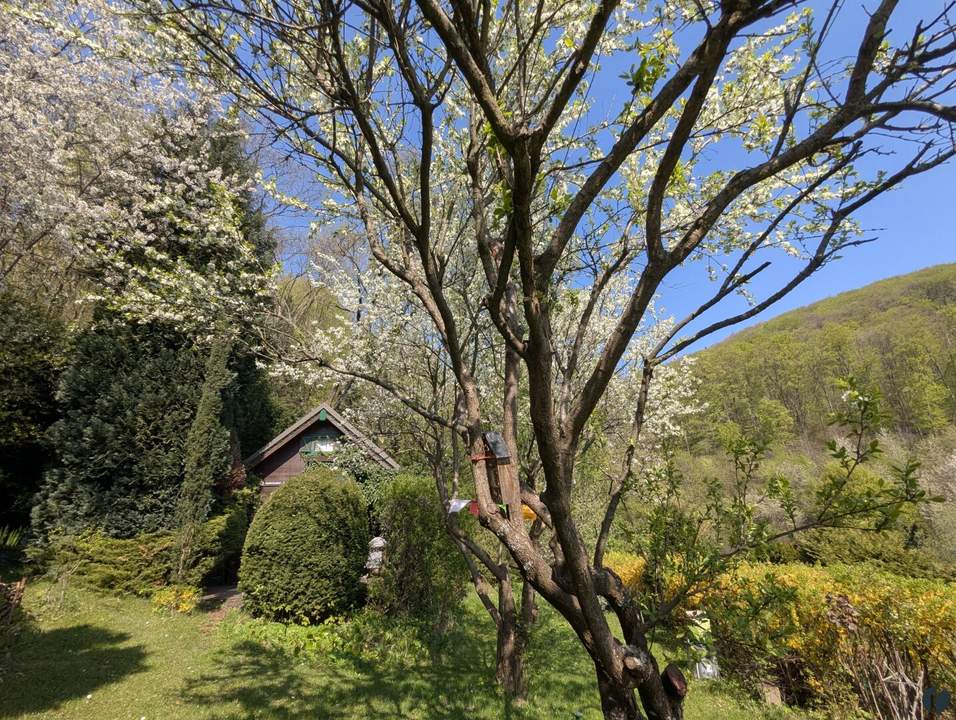 Wo Wochenenden zu Urlaub werden – traumhaftes Gartenrefugium am Exelberg