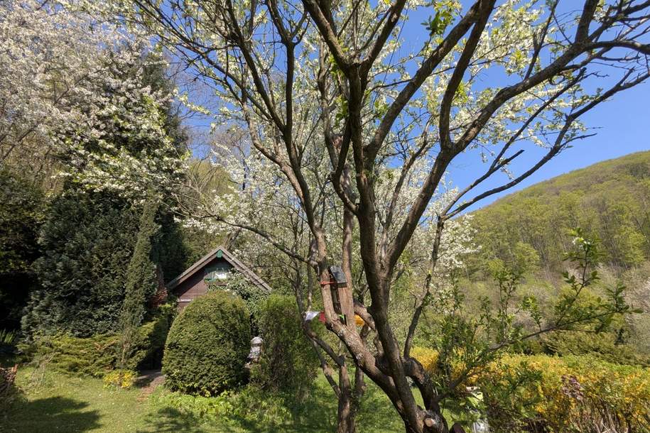 Wo Wochenenden zu Urlaub werden – traumhaftes Gartenrefugium am Exelberg, Haus-kauf, 119.000,€, 3400 Tulln