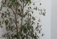 Exklusives Wohnkonzept - Luxus, der nach Ihren Vorstellungen entsteht! | ZELLMANN IMMOBILIEN