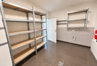 Imposante Villa mit Platz für die ganze Familie in Leopoldsdorf im Marchfeld