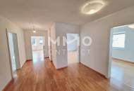 Sonnige 4-Zimmer Wohnung in der Sophiengutstraße 31 / Froschberg