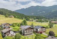 großzügige Pension in sehr guter Lage