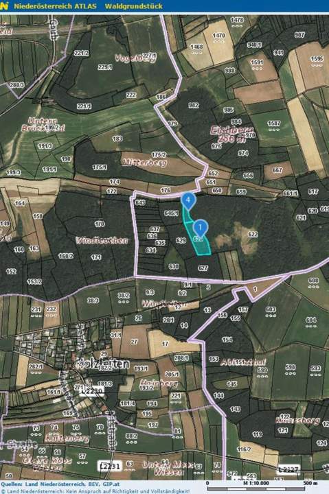 "1,4 ha Fichtenwald"