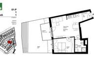 Lichtdurchflutete 2-Zimmer Wohnung in 1220 Wien - ab 01.09.2025 verfügbar!