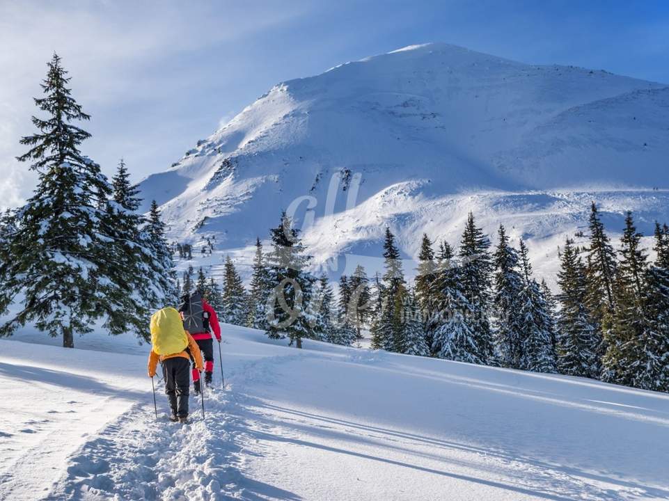 Freizeitwohnsitz-Ski in/Ski Out- Grundstück für 2 baugenehmigte Chalets in St Oswald/Bad Kleinkirchheim