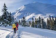 Freizeitwohnsitz-Ski in/Ski Out- Grundstück für 2 baugenehmigte Chalets in St Oswald/Bad Kleinkirchheim