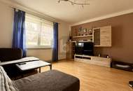 SONNIGER FAMILIENTRAUM MIT VOLLKELLER, 88 QM NEBENGEBÄUDE UND XXL GARTEN