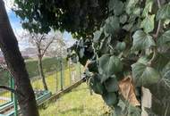 Abbruch/Neubau oder Ausbau, kleines Bestandsgebäude in guter Mietlage