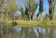 Viel Raum im Paradies