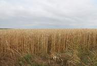 "Landwirte aufgepasst!"
