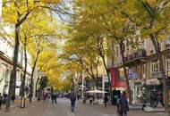 GESCHÄFT 77 m² + 74 m² LAGER - Mariahilfer Straße Bestlage