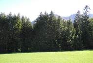 Hübsche, landwirtschaftliche Wiese mit kleinem Wald - KEIN Baugrund !!!