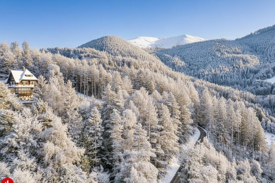 ACHTUNG PREISREDUKTION! Wohnen im Herzen des historischen Höhenluftkurorts Semmering!, Wohnung-kauf, 135.000,€, 2680 Neunkirchen