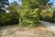 Wohnen wo die Natur beginnt - Waldrandgrundstück mit Option auf Waldpacht
