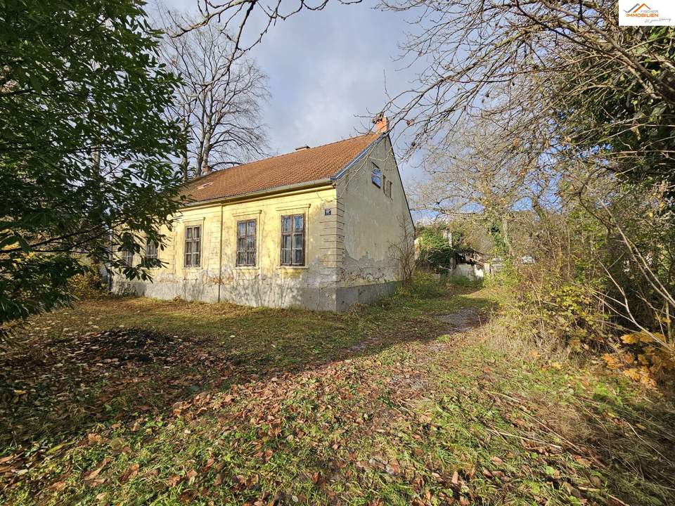 Traumhafte Liegenschaft in Pitten – Großzügiges Bauland mit charmantem Altbestand