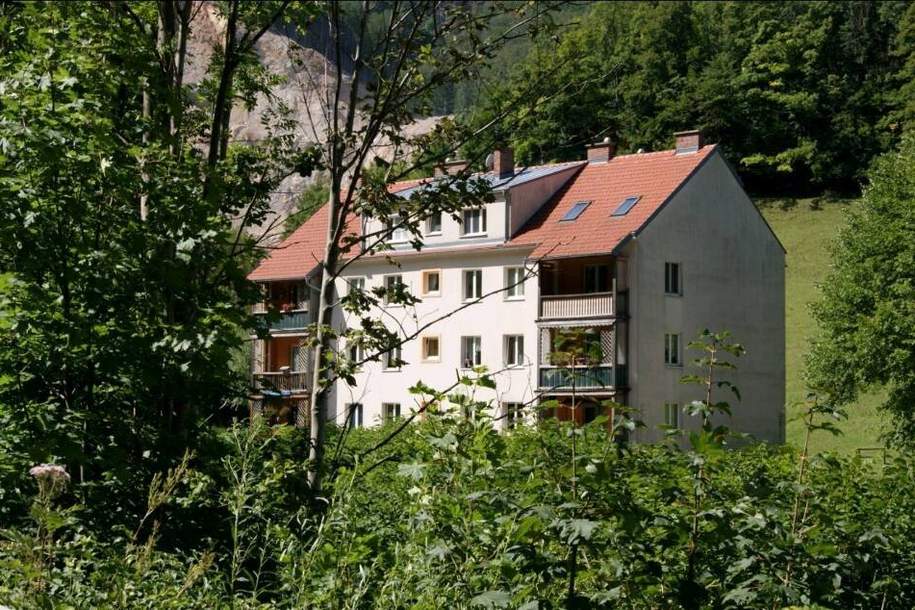 Raum für Ihre persönlichen Wohnideen I 2 Zimmer Wohnung, Wohnung-miete, 438,75,€, 3170 Lilienfeld