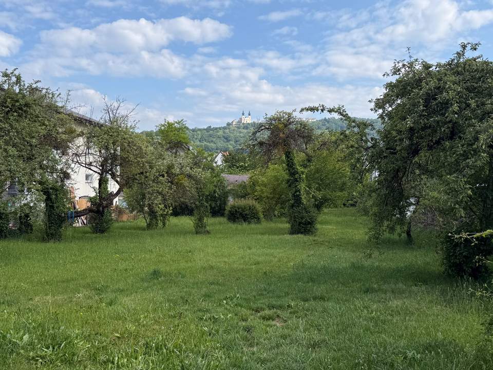 Attraktives Baugrundstück ohne Bauzwang im Ortskern von Krummnussbaum