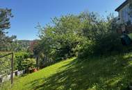 Bergfeeling pur! Traumhaftes Aussichtspanorama am Gipfel des Wolfersberges