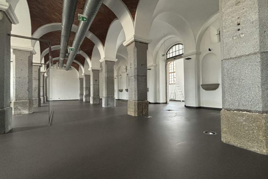 Ihr neues Fitnessstudio, Atelier oder Büro – jetzt mit attraktiver STAFFELMIETE sichern!, Gewerbeobjekt-miete, 2.982,89,€, 4470 Linz-Land