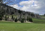 NEUBERG AN DER MÜRZ/KAPELLEN - GROSSZÜGIGER BAURECHTSGRUND