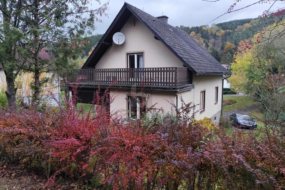 FAMILIENIDYLLE MIT GARTEN, Haus-kauf, 150.000,€, 2860 Wiener Neustadt(Land)