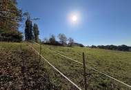 Pferdehof in sonniger Ruhelage bei Straden – 1,7 ha Grund, Wohnhaus, zahlreiche Nebengebäude & ideal für Selbstversorger - provisionsfrei