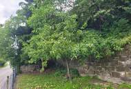 "Mein Projekt für 2026!"