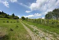 Idyllisches Feriengrundstück mit Holzhaus in Grünruhelage nahe Gleisdorf