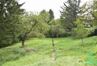 Eine Oase der Ruhe beim Augustinerwald - Vielseitige Nutzung möglich