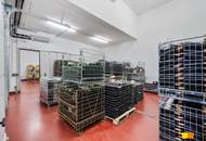 Renommiertes Weingut im Pinkatal