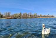 Luxuriöses Einfamilienhaus direkt bei der Alten Donau