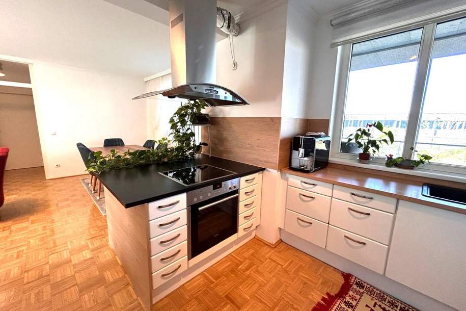 TOP PREIS 4 Zimmer Wohnung mit extra großer Loggia, Wohnung-kauf, 4020 Linz(Stadt)