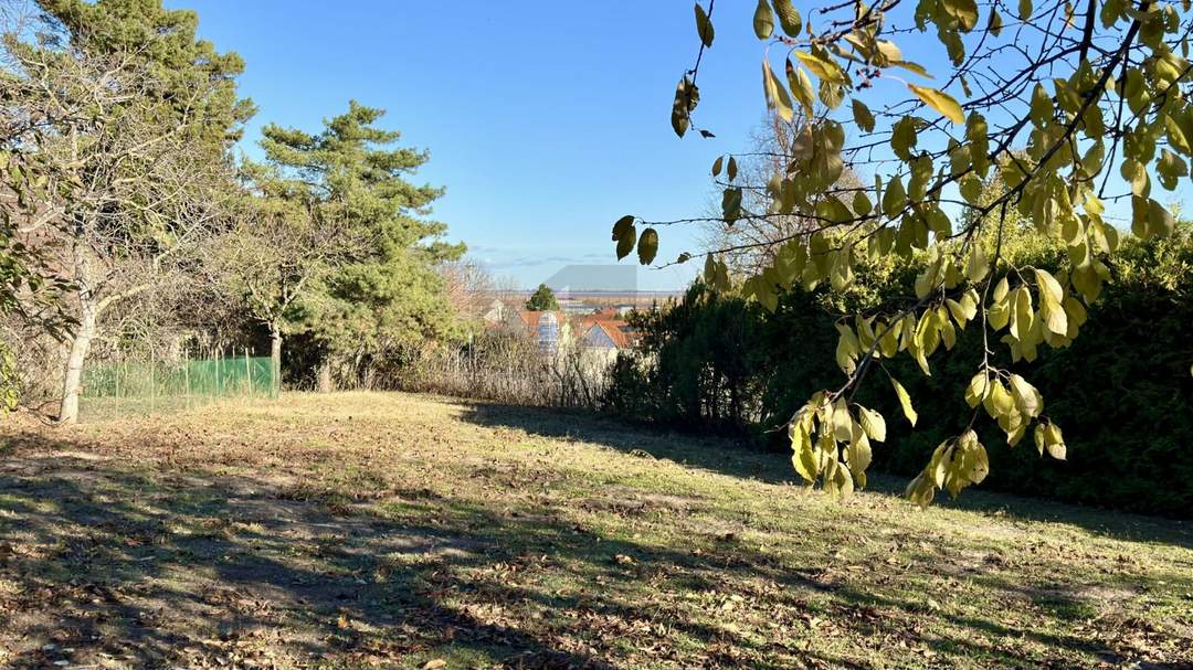 AUFGESCHLOSSEN - SONNIGES, EBENES ECKGRUNDSTÜCK MIT ALTBAUMBESTAND