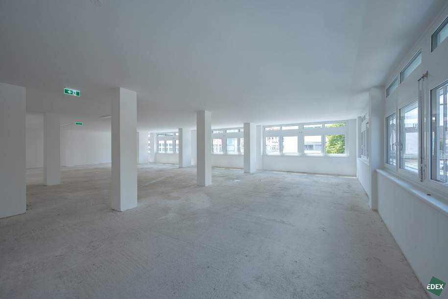 Erstbezug: Moderne Büroflächen in Hietzinger Bestlage, Gewerbeobjekt-miete, 5.555,19,€, 1130 Wien 13., Hietzing