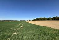 Attraktive Landwirtschaftsfläche in Eggendorf im Traunkreis
