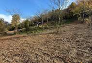 Bäume und Wiese mit Zufahrt und Parkmöglichkeit