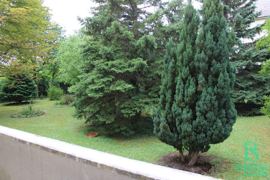 Fein – Klein – Mein! Leben und Wohnen in Baden!, Wohnung-miete, 599,25,€, 2500 Baden