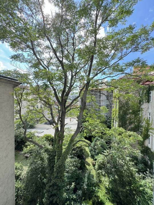 Unbefristet vermietete Anlegerwohnung - Altbauwohnung