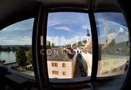 88,46qm Panorama-Dachterrassenwohnung in Stein, Donaublick, Lift, DPU-fußläufig