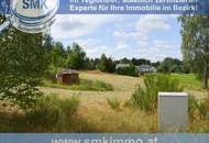 Weitläufiges Baugrundstück in Amaliendorf – Ruhe und Natur!