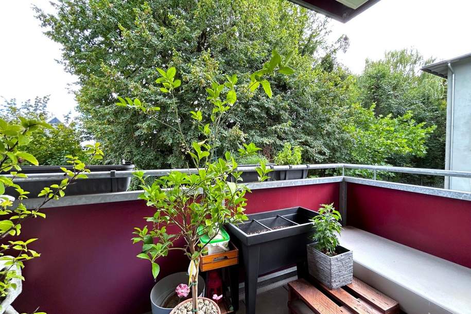 Pasching (Westzeile): 2-Zimmer Mietwohnung mit ca. 48,53 m² + BALKON, Wohnung-miete, 659,99,€, 4061 Linz-Land