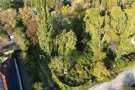 Tolles Grundstück in Biedermannsdorf, Grund und Boden-kauf, 510.000,€, 2362 Mödling