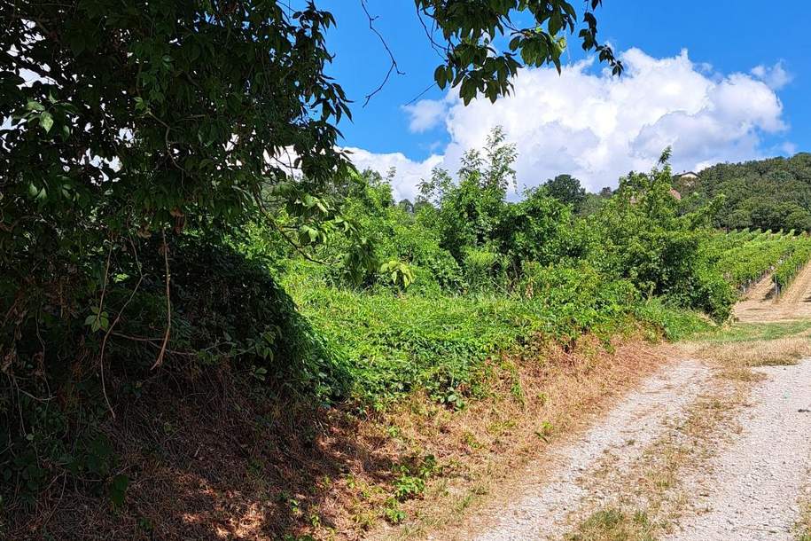 RARITÄT! Baugrund in TOP Lage, Grund und Boden-kauf, 1.350.000,€, 2103 Korneuburg