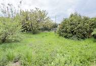 „Grüne Oase mit Perspektive – Kleingartenparzelle in Wien mit geplanter Umwidmung“ | ZELLMANN IMMOBILIEN